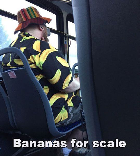 Obrázek BananasForScale