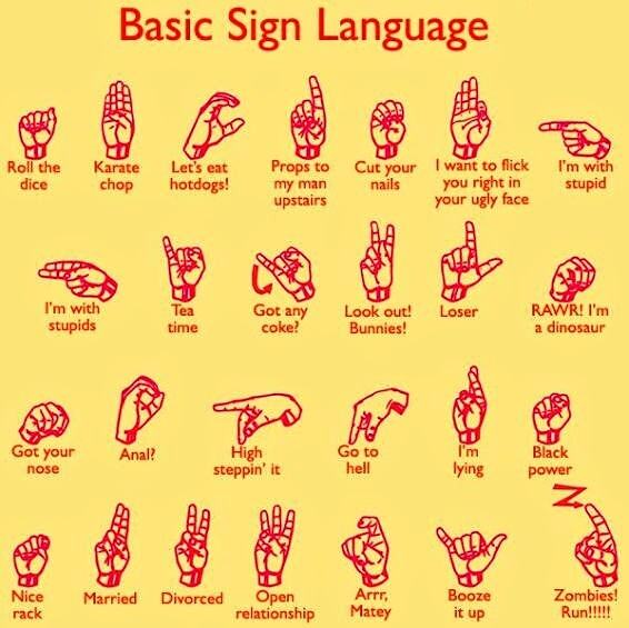 Obrázek Basic sign language