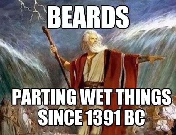 Obrázek Beards  