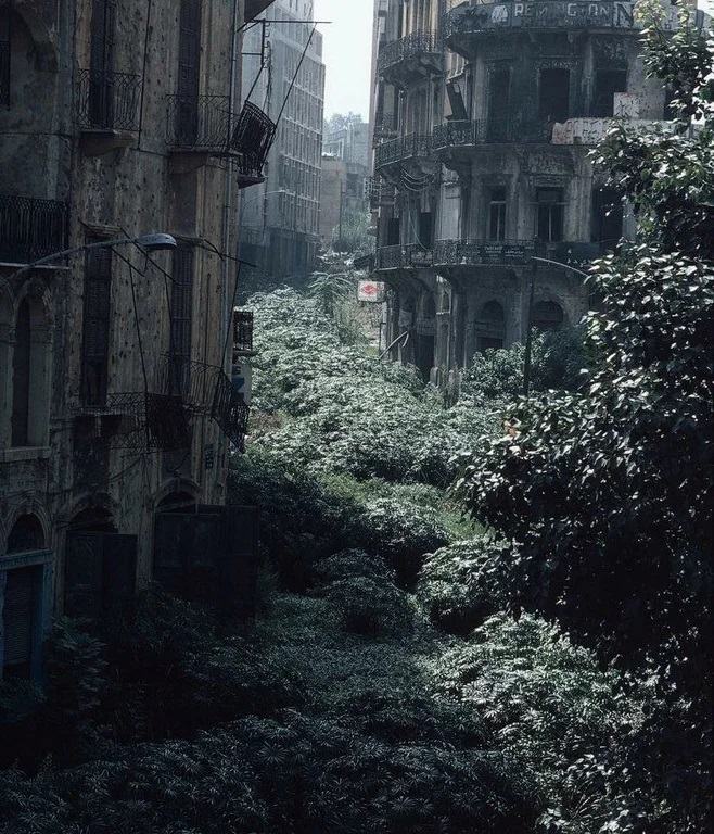 Obrázek Beirut green line demarcation zone 1982