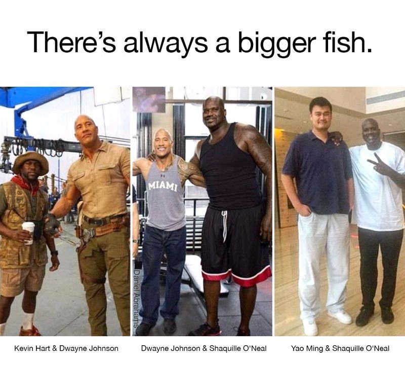 Obrázek Bigger fish
