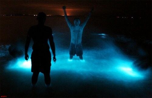 Obrázek Bioluminescent-lake-in-Australia-008