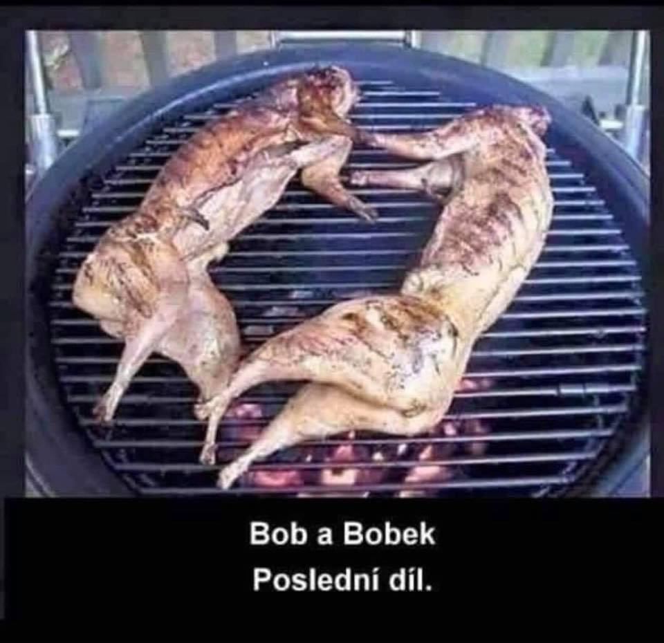 Obrázek BobABobOk