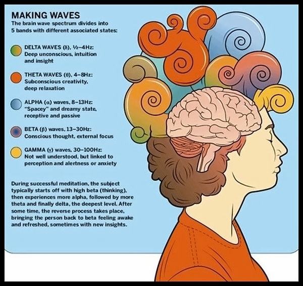 Obrázek Brain-chart-making-waves