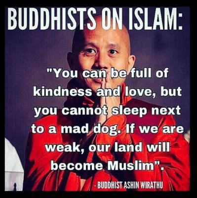 Obrázek Buddhists on Muslims