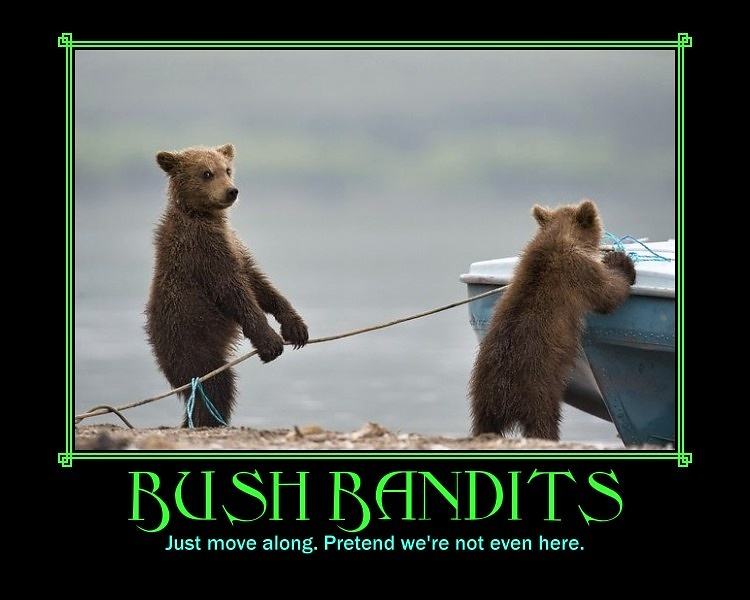 Obrázek Bush bandits - 18-06-2012