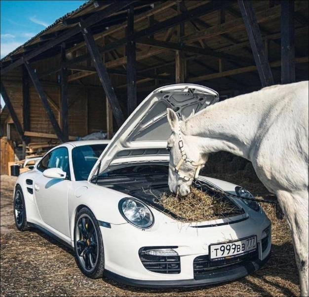 Obrázek Car with horse power