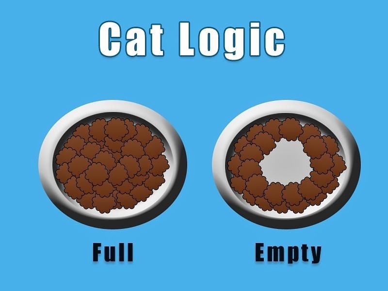 Obrázek Cat logic - 21-05-2012