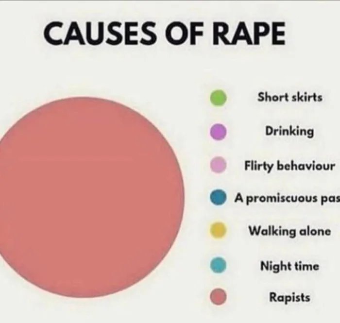 Obrázek Causes of rape