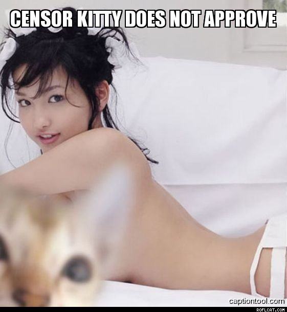 Obrázek Censor Kitty Does Not Approve