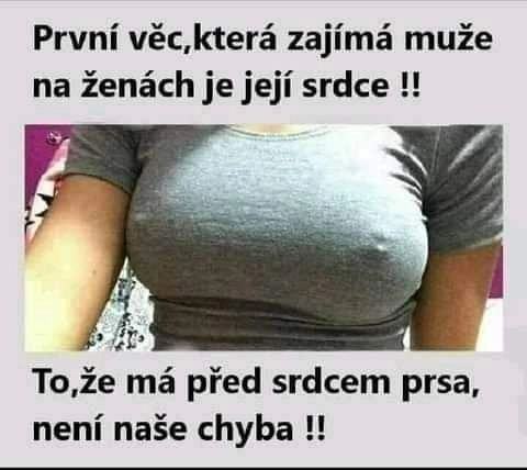 Obrázek Cesta k srdci zeny