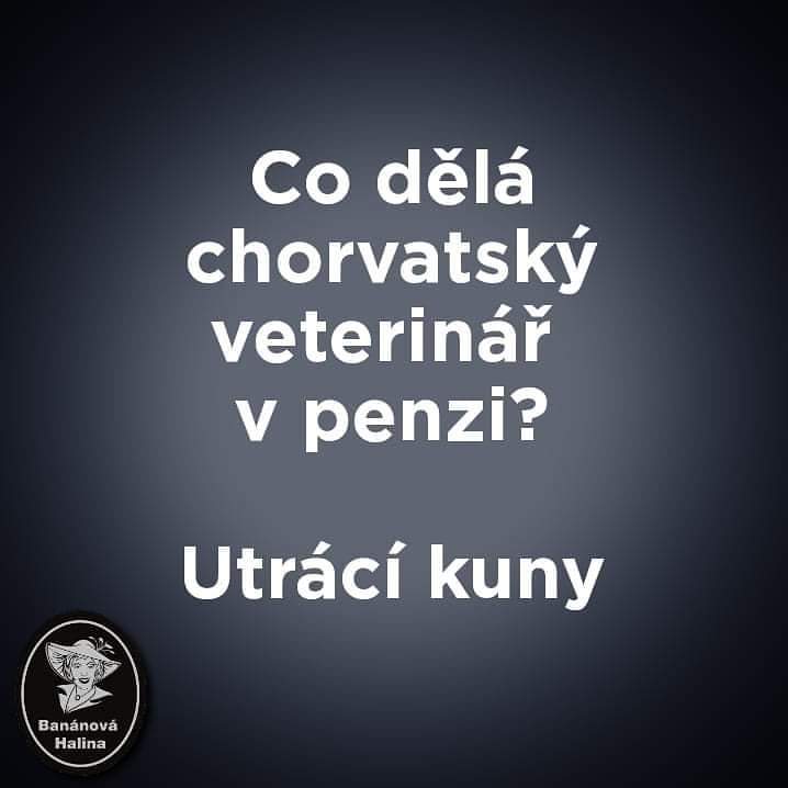 Obrázek Chorvatsky veterinar