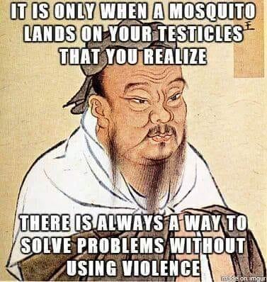 Obrázek Confucious say -