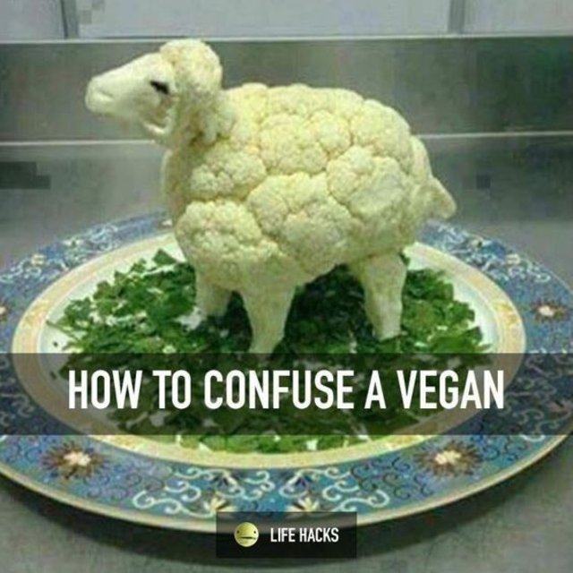 Obrázek Confusing a Vegan