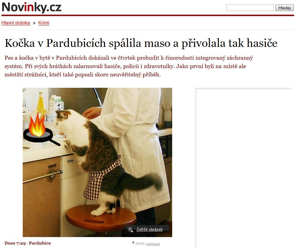 Obrázek Cooking cat