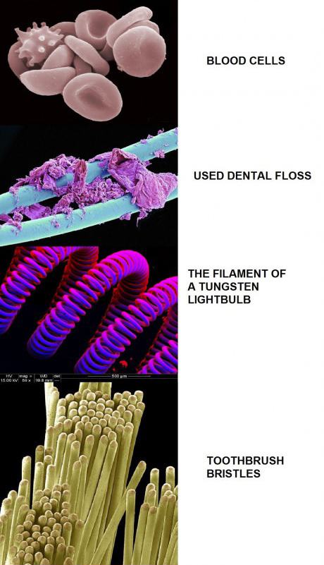 Obrázek Cool stuff under microscope  288 29