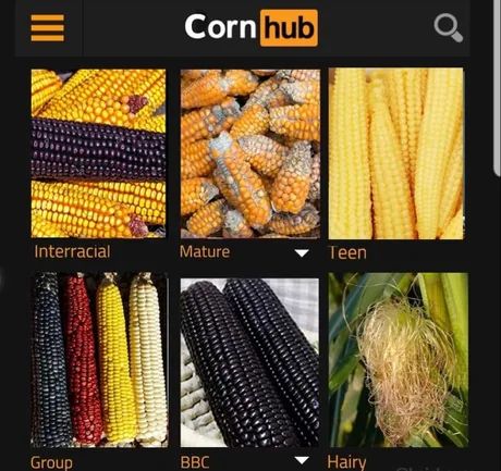 Obrázek CornHub