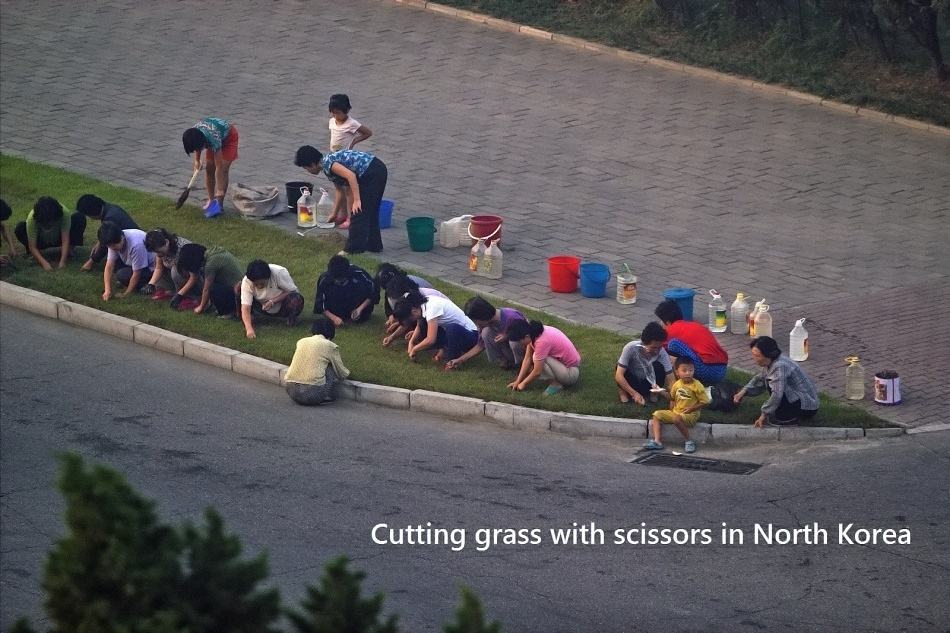 Obrázek CuttingGrass-NK