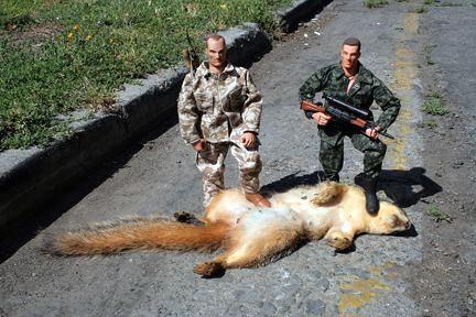 Obrázek Dead big squirrel