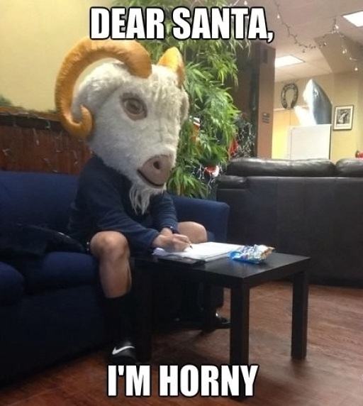 Obrázek Dear santa i am