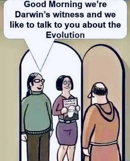 Obrázek Denying Evolution