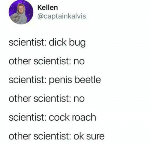 Obrázek Dick bug