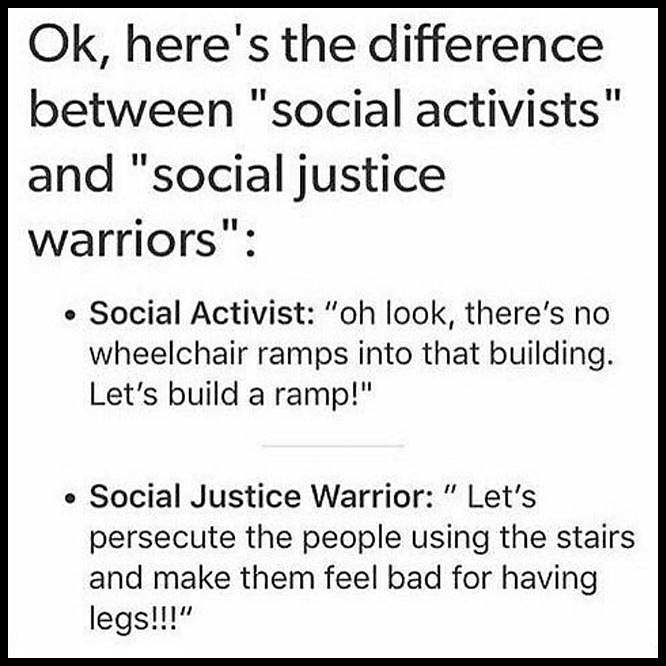 Obrázek Difference Between Social Activists And Sjws