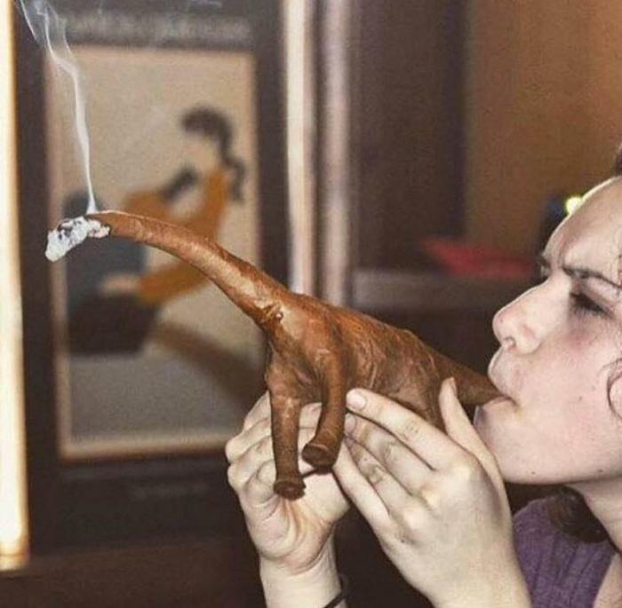 Obrázek Dino Blunt