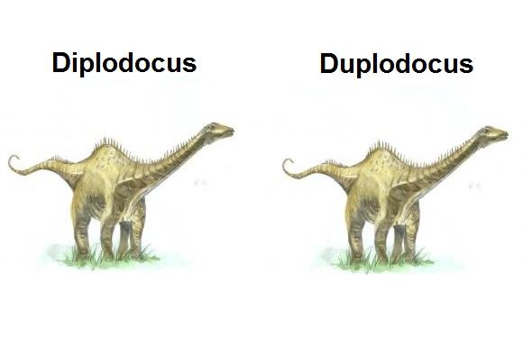 Obrázek Diplodocus