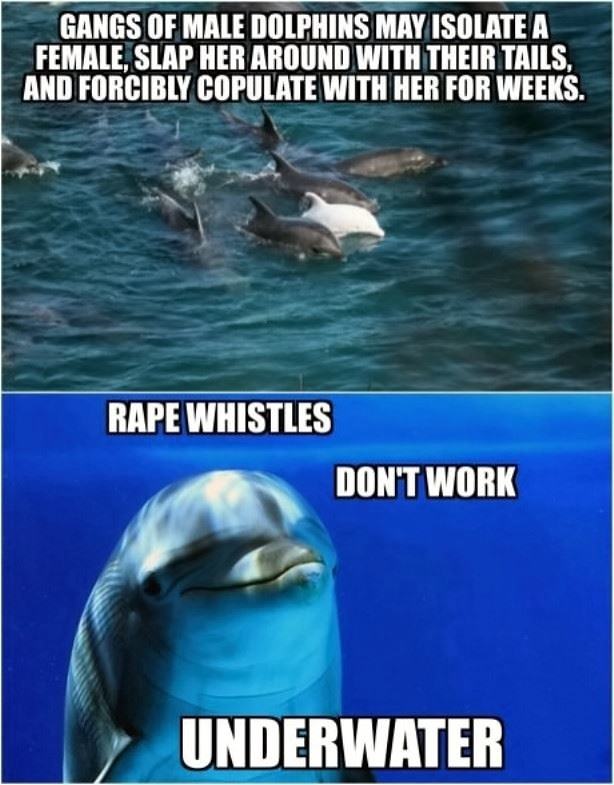 Obrázek Dolphin Gangs