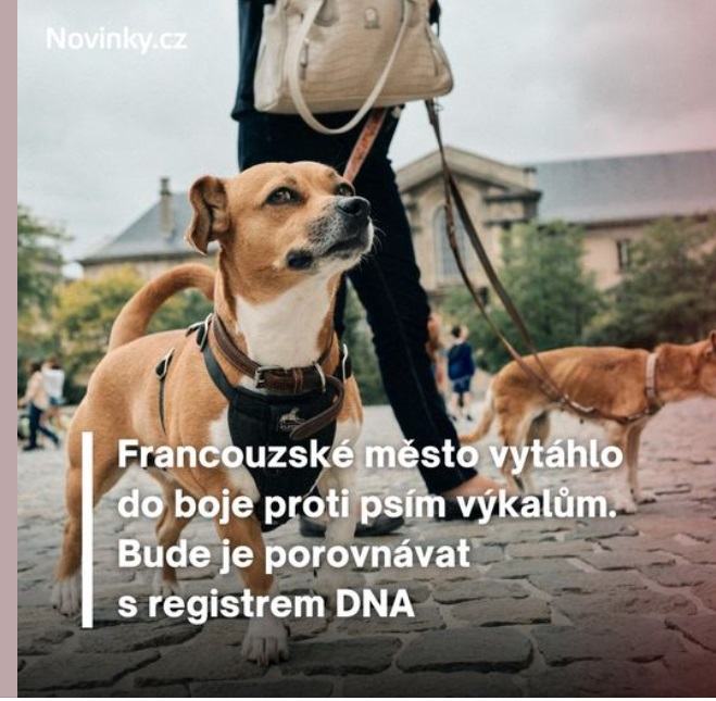 Obrázek Drab bude mit zase co delat