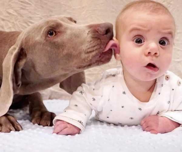 Obrázek Ear washing