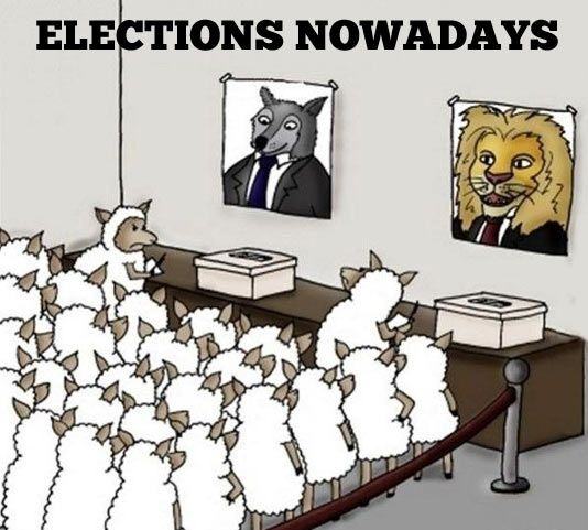 Obrázek Elections nowadays