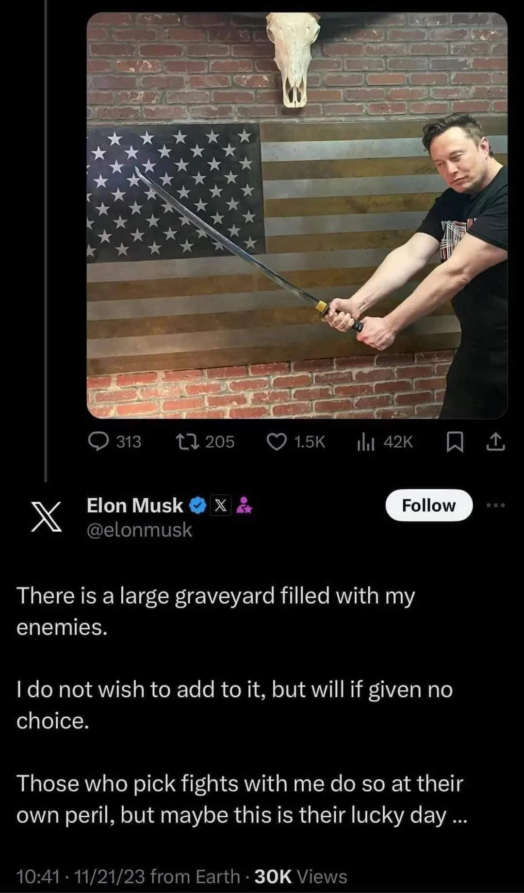 Obrázek Elon the ultimate avenger