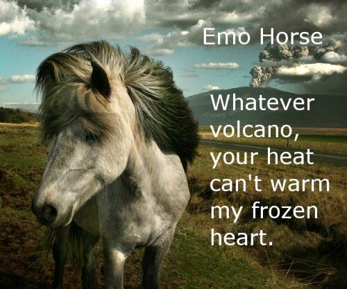 Obrázek Emo Horse