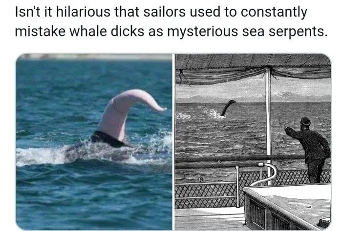 Obrázek Ever-seen-a-whale-dick