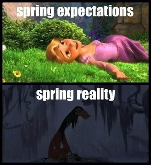 Obrázek Expectations-about-Spring-and-real-life