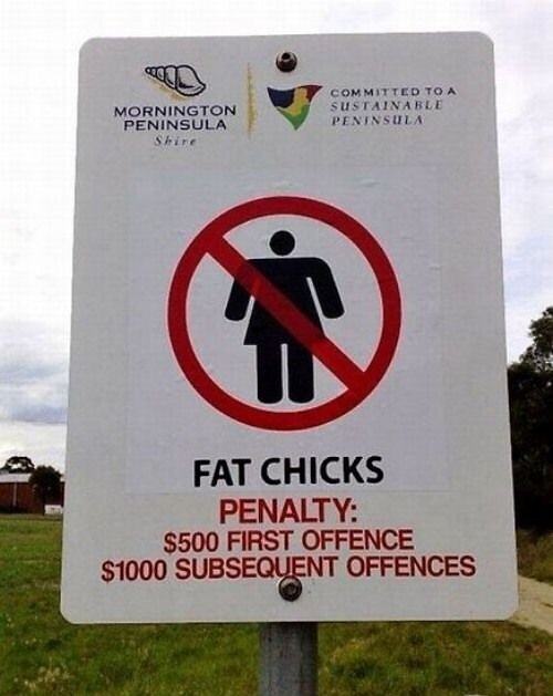 Obrázek Fat Chicks