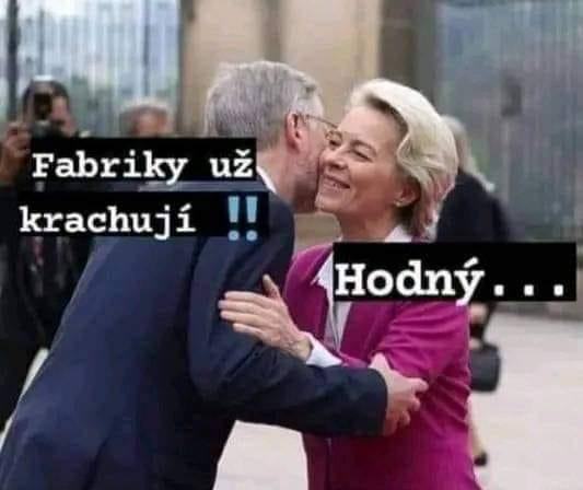 Obrázek Filaovy pejsek s dildem v analu