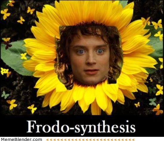 Obrázek Frodo