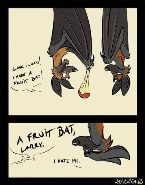 Obrázek FruitBat