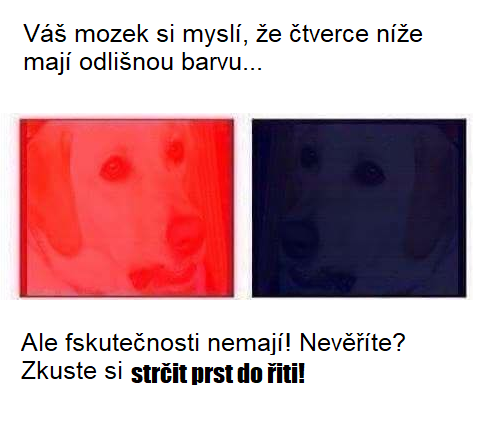 Obrázek Funguje to fakt