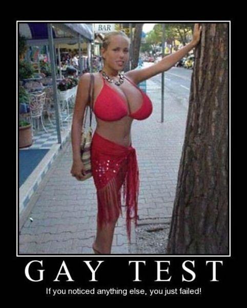 Obrázek Gay Test 22-12-2011