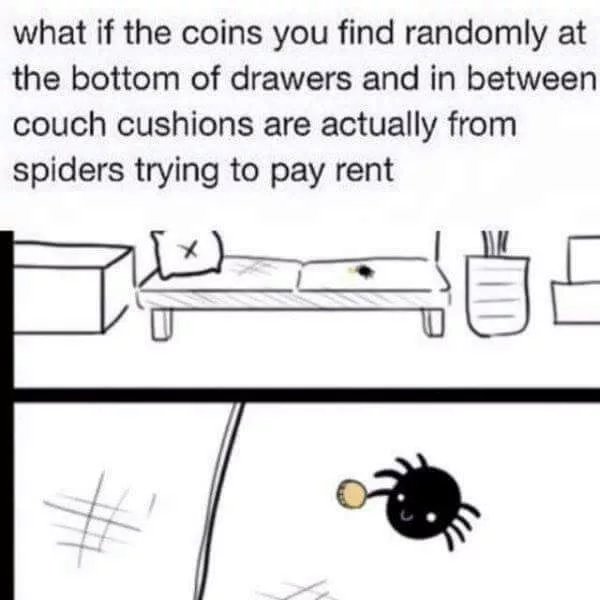 Obrázek Good guy spider