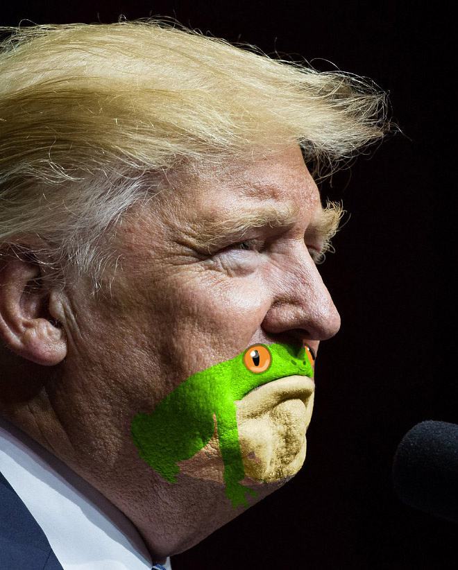 Obrázek Have You Noticed That Trumps Chin Looks Like a Frog