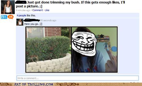 Obrázek Her bush