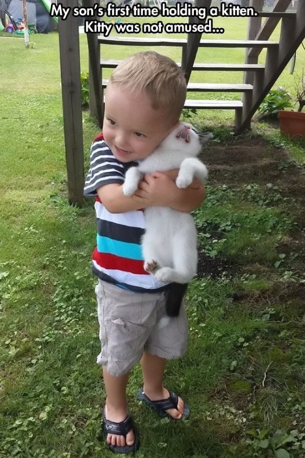 Obrázek Holding A Kitten