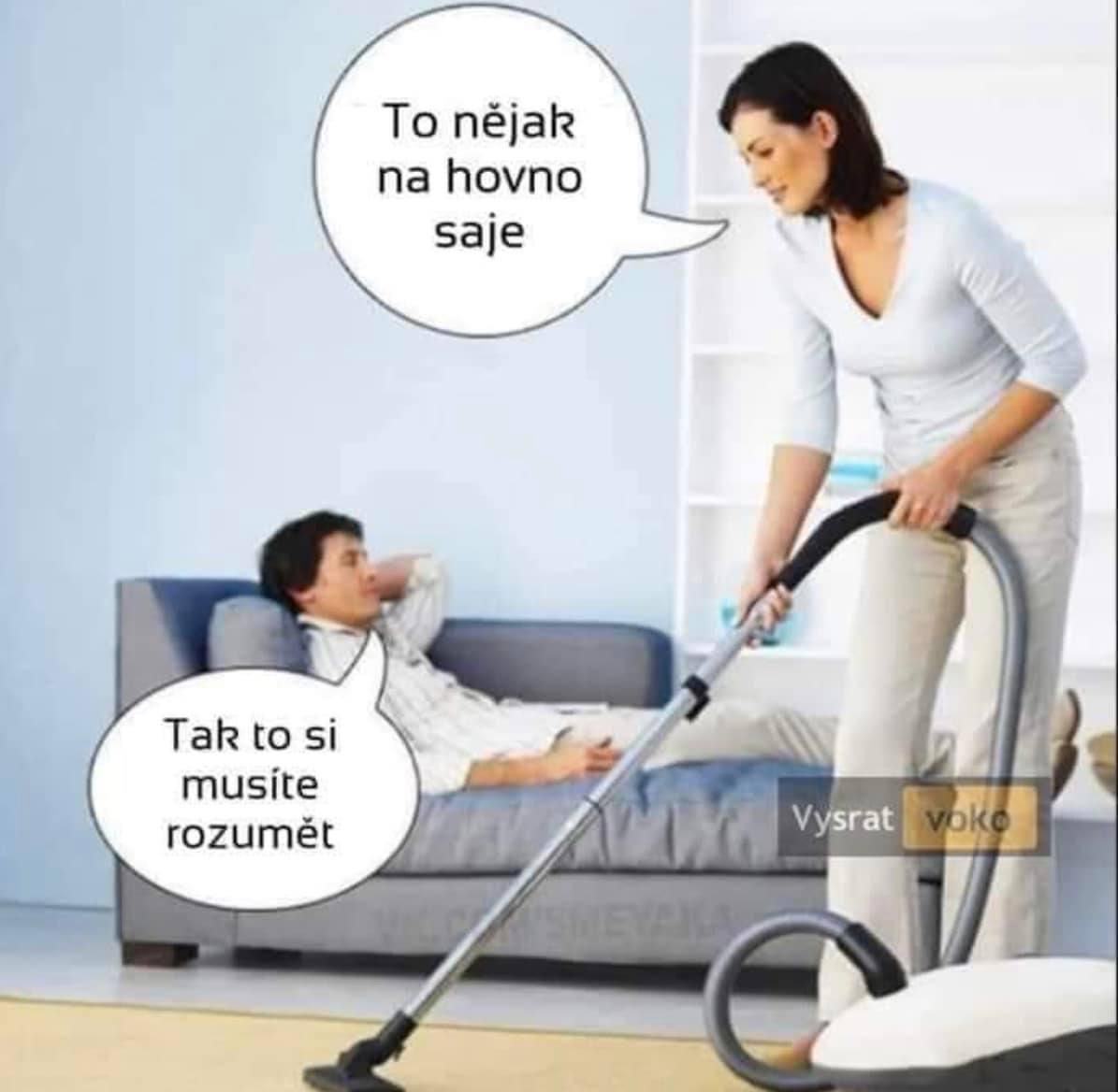 Obrázek Hovnosaj