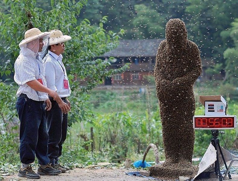 Obrázek Human beehive