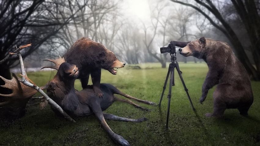 Obrázek HunterPhoto